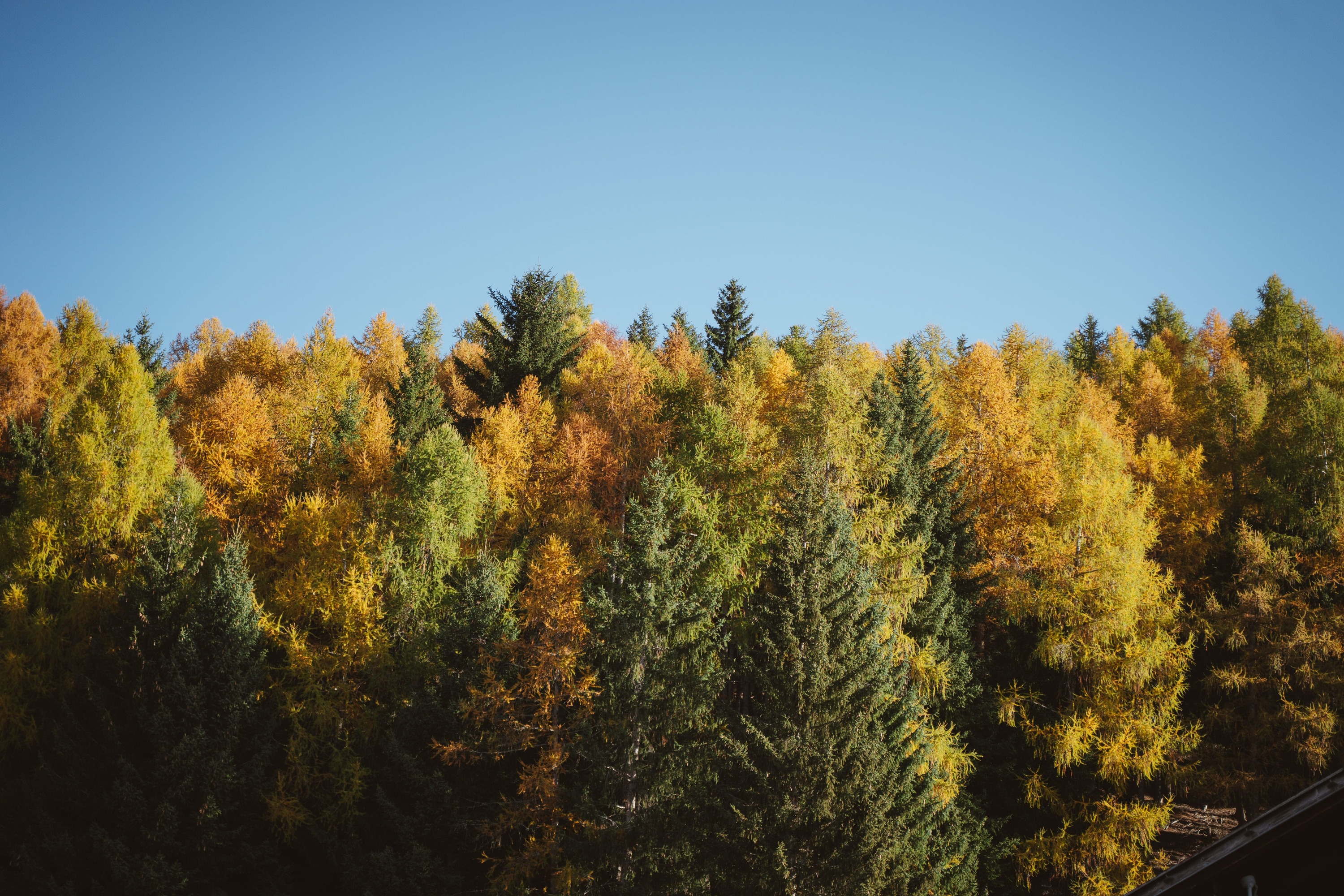 Landscape Photo 5